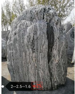 公園-廣場-學校-小區