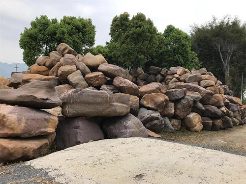 【大型公園綠化黃蠟石刻字天然景觀石長期出售】- 