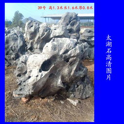 【奇石太湖石批發廣東奇石太湖石廠家在哪里園林景觀石圖片】-