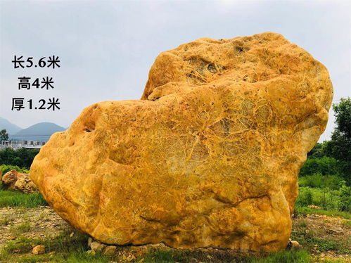 【廠家直銷奇石景觀石草坪石量大優(yōu)惠】- 