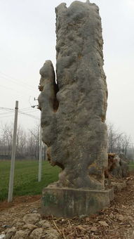 廣東景觀石怎么養(yǎng)護(hù) 廣東景觀石價(jià)格是多少