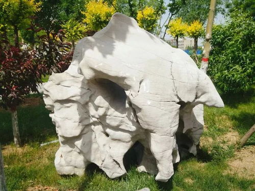 奇石映丹心 我校新景觀石安放側記