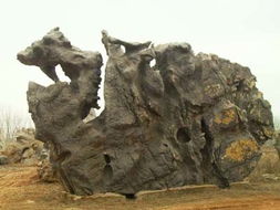 形相似駱駝園林狀景觀石