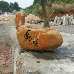 【刻字的精品黃蠟石盆景黃蠟石魚缸景觀石廣東黃蠟石盆景】-