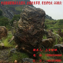 專業做平潭景觀石精品九龍壁石,天然的九龍壁石