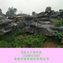  浙江省長興縣景觀石采石基地 主營 景觀石 太湖石 鵝然