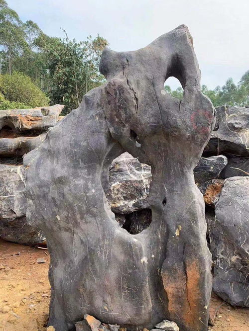 太湖石原石批發大型園林景觀石