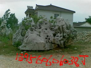 大型太湖石在園林景觀中的應(yīng)用與價值