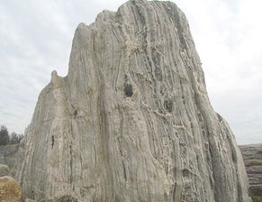 園林景觀石雕刻選購指南 價格、型號規格與品質保證